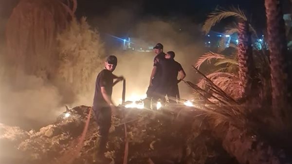 حريق بمزارع نخيل