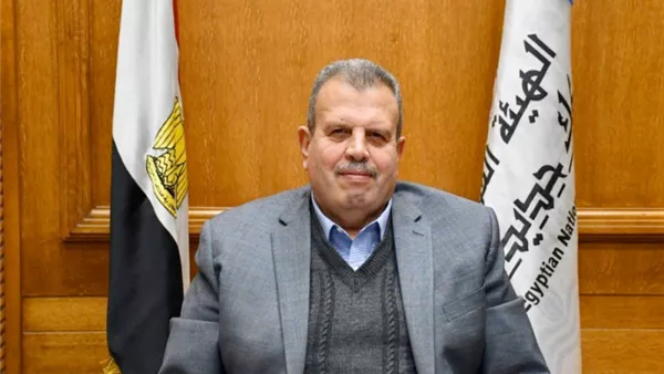 المهندس محمد عامر