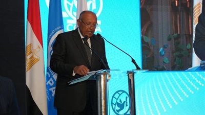 بحضور وزير الخارجية.. مركز القاهرة الدولي يحتفل بمرور ثلاثين عاما على إنشائه