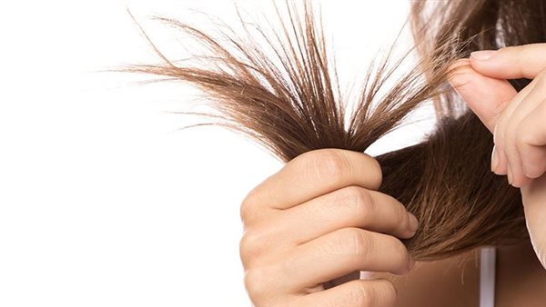 طرق علاج وحل للشعر