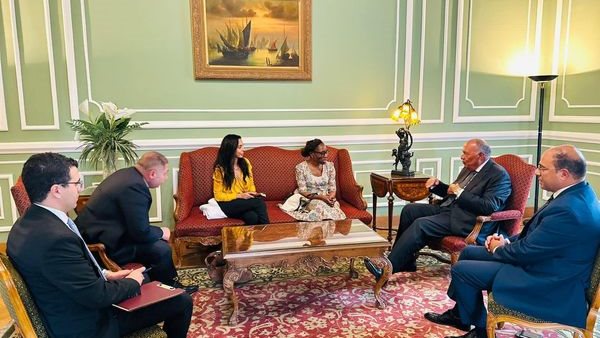 وزير الخارجية يستقبل