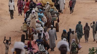 مصر والإمارات والسعودية وأمريكا تصدر بيانا مشتركا بشأن معبر أدري في السودان