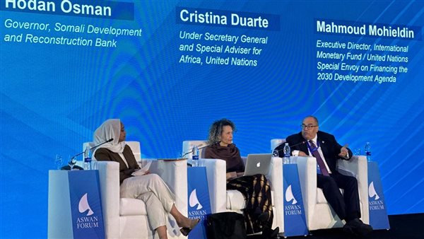  الدكتور محمود محيي