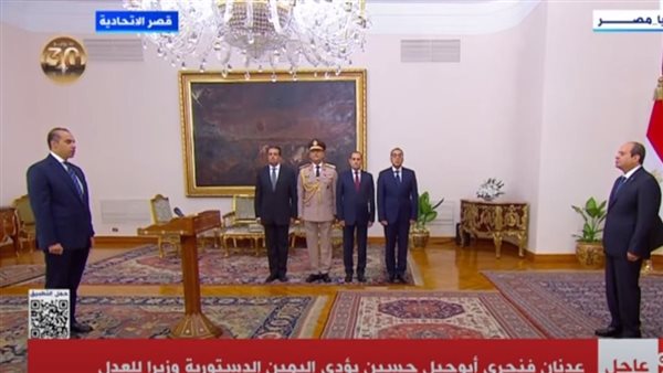 المستشار محمود فوزي