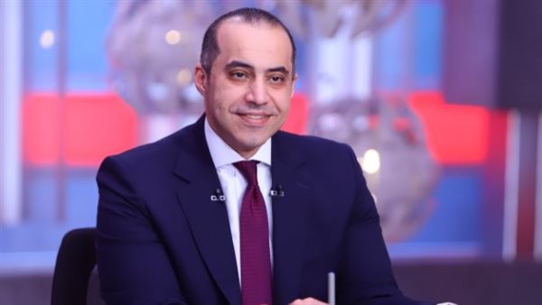 المستشار محمود فوزي