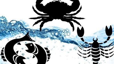 لمواليد السرطان والعقرب والحوت.. تعرف على حظك اليوم الجمعة 5 يوليو 2024