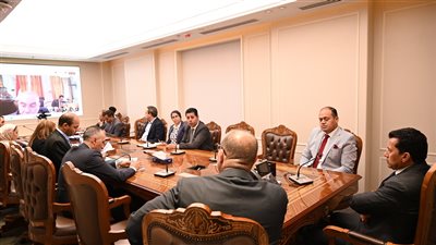 وزير الشباب والرياضة يلتقي سفير مصر في فرنسا عبر الفيديو كونفرانس