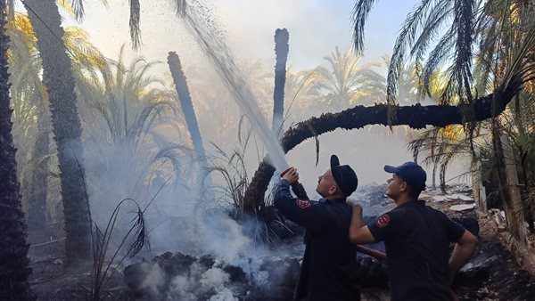 حريق يدمر مزرعتي