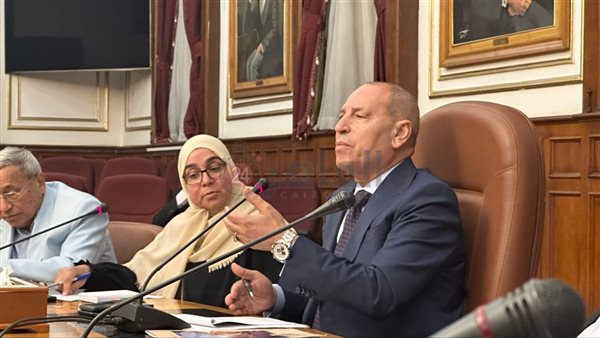 محافظ القاهرة 