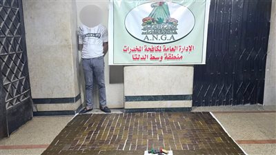بحوزته 50 كجم حشيش.. القبض على عنصر إجرامي في المنوفية