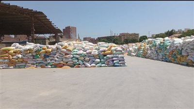 ارتفاع واردات محصول القمح في الشرقية لـ 610988 طن | صور