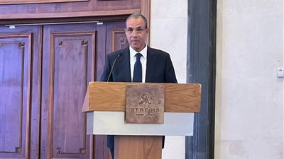 وزير الخارجية: القضية الفلسطينية على رأس أولوية سياسة مصر الخارجية