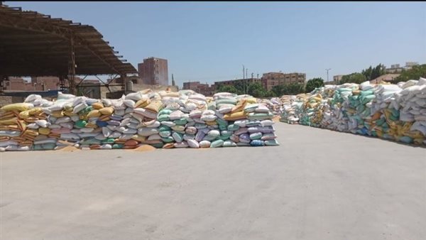 توريد القمح في الشرقية