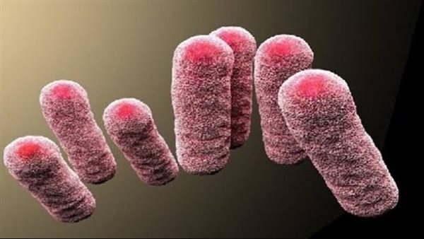 فيروس الطاعون الدبلي