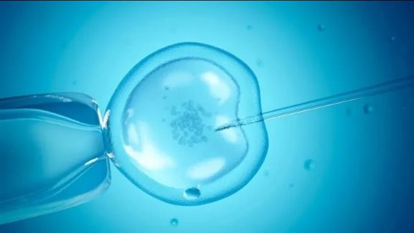 تجميد البويضات 