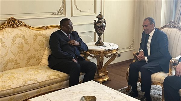 الدكتور بدر عبد العاطي