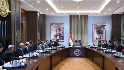 شقق وأراضٍ للمواطنين.. الحكومة تعلن بدء حملة تسويق للعقارات بالمدن الجديدة