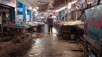 سوق حضاري للأسماك.. أهم مطالب أبناء السويس من المحافظ الجديد | صور