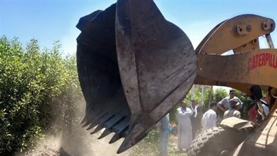 الشرقية تسترد 29 فدانًا ضمن الموجة 23 لإزالة التعديات على الأراضي الزراعية