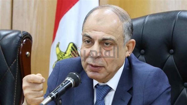 محافظ المنيا