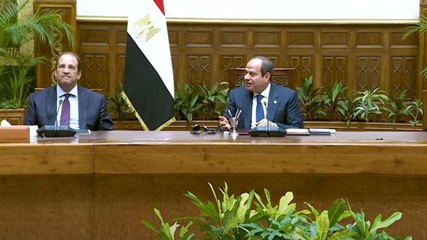 السيسي ووزير الخارجية