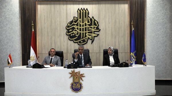 محافظ أسوان