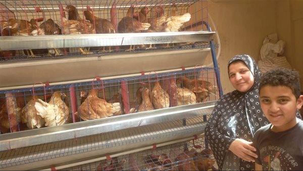 توزيع النموذجات على