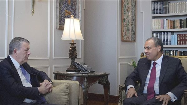 وزير الخارجية المصري