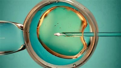 دراسة: تلوث الهواء يقلل احتمالات ولادة طفل حي عن طريق التلقيح الصناعي