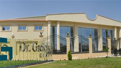 تفاصيل صفقة كبرى لدمج شركات صناعة الزجاج بمصر