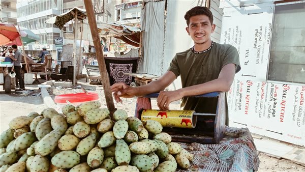 بائع تين شوكي