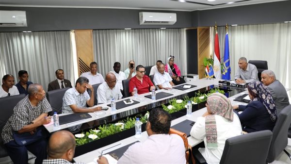 محافظ أسوان