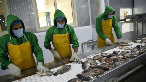 مشروعات الاستزراع