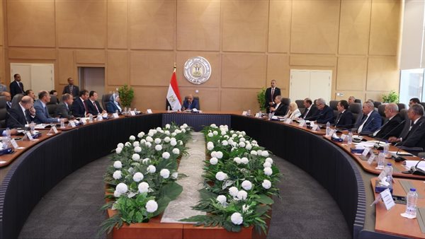 اجتماع وزير الكهرباء