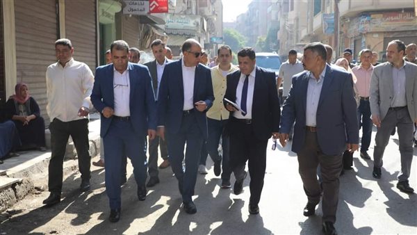 محافظ المنيا