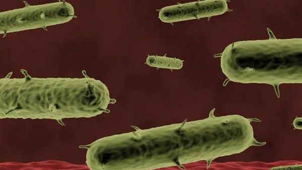  صورة تعبيرية 