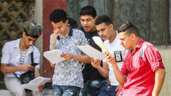 الدبلومات الفنية