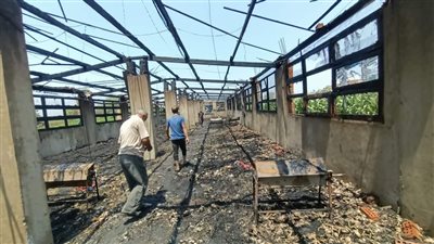 حريق هائل يلتهم مزرعة دواجن في الغربية | صور