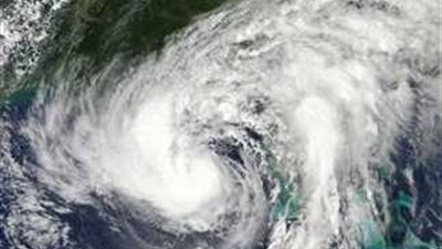 بسبب ظاهرة النينو..الصحراء الأكثر جفافًا في العالم تنبت بشكل مفاجئ