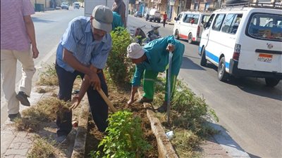 زراعة 400 شتلة زينة بشوارع الأقصر ضمن مبادرة 100 مليون شجرة| صور