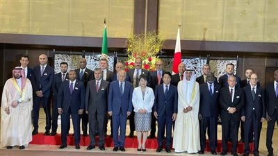 مصر تدعو ممثلي القطاع الخاص والشركات اليابانية إلى الاستثمار في المنطقة العربية