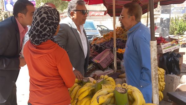 محافظ الدقهلية 