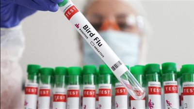 البرازيل تحقق في الاشتباه بإصابة 6 حالات بإنفلونزا الطيور.. وقلق عالمي يلوح في الأفق 