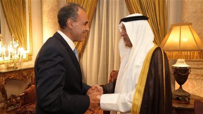 وزير الخارجية: أمن واستقرار ورخاء دول الخليج مصلحة مصرية مباشرة 