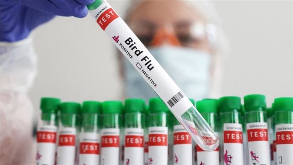 إنفلونزا الطيور