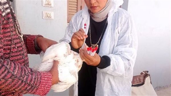 تحصين الطيور في الشرقية