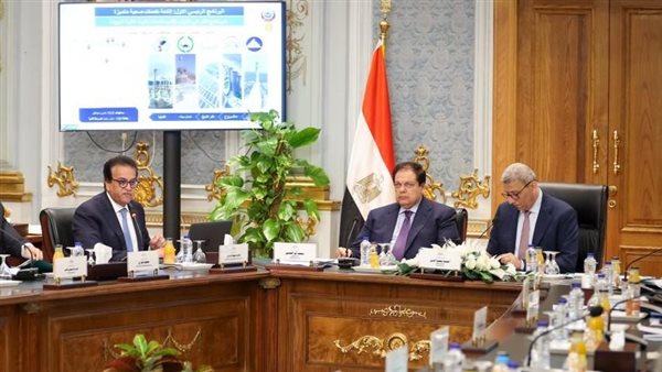 نائب رئيس الوزراء