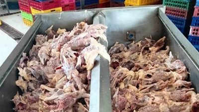 ضبط 430 كيلو دواجن وأسماك غير صالحة للاستهلاك الآدمي بالشرقية| صور