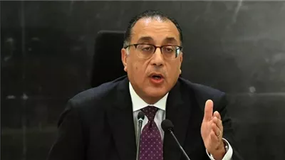  مدبولي يبحث سبل التعاون المشترك في ملف الطاقة بين مصر والإمارات