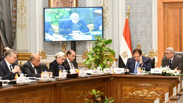 الدكتورة ياسمين فؤاد